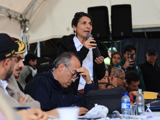 "El Ministerio no tiene conocimiento de una radicación formal sobre alguna recusación por parte de los actores interesados en el proceso", Natalia Ramírez Martínez, directora de Bosques, Biodiversidad y Servicios Ecosistémicos de ministerio de Ambiente