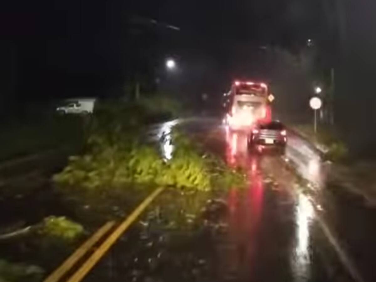 Vendaval y tormenta eléctrica afectó cinco municipios del departamento del Quindío
