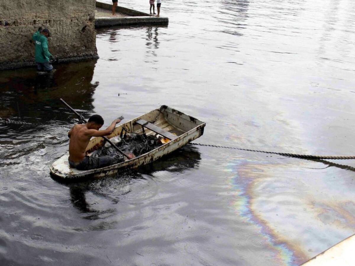 Procuraduría invita a que sentencia de Consejo de Estado se cumpla