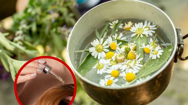 Manzanilla en una olla // persona aclarando su cabello // Getty Images