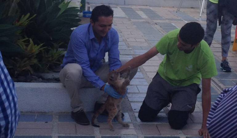 El alcalde de entretuvo esta mañana con el felino a su paso por el Club del Comercio.