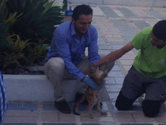 El alcalde de entretuvo esta mañana con el felino a su paso por el Club del Comercio.