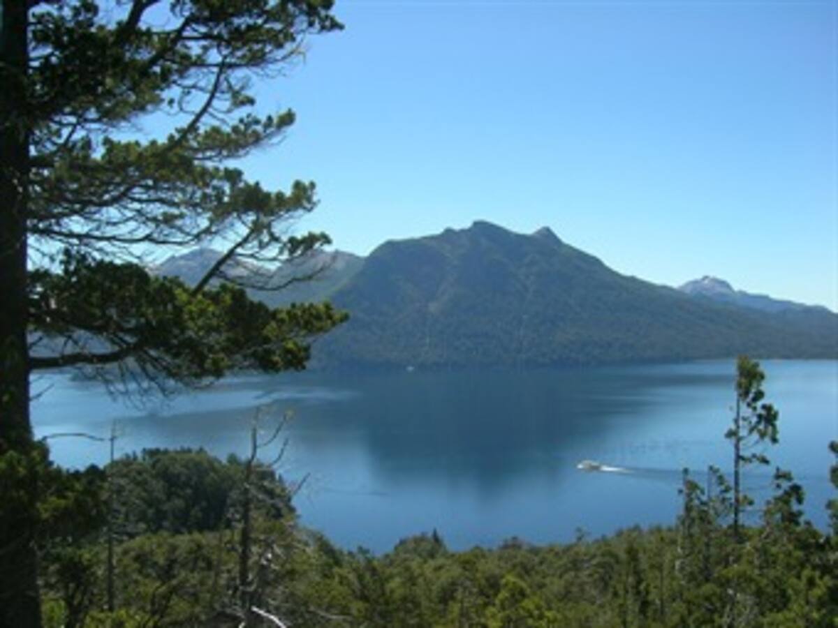 Lago argentino cambia de coloración después de sismo en Chile