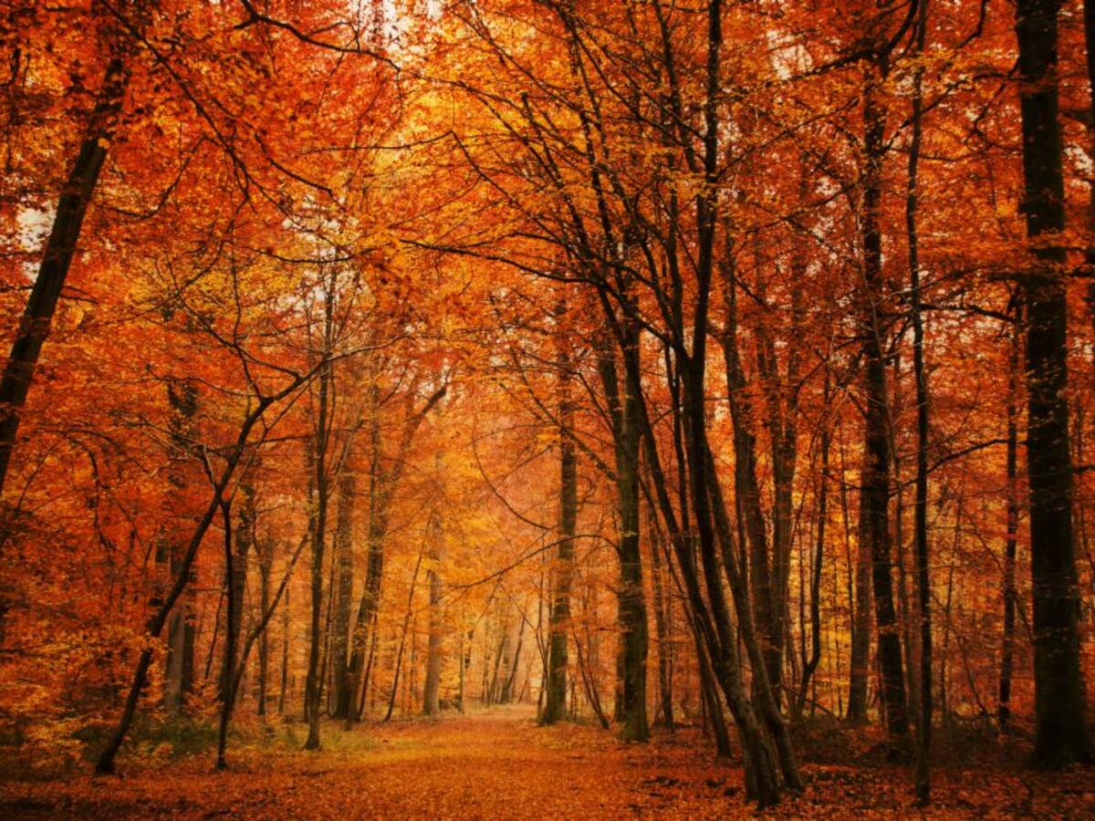 ¿Cuándo empieza el otoño de 2022?