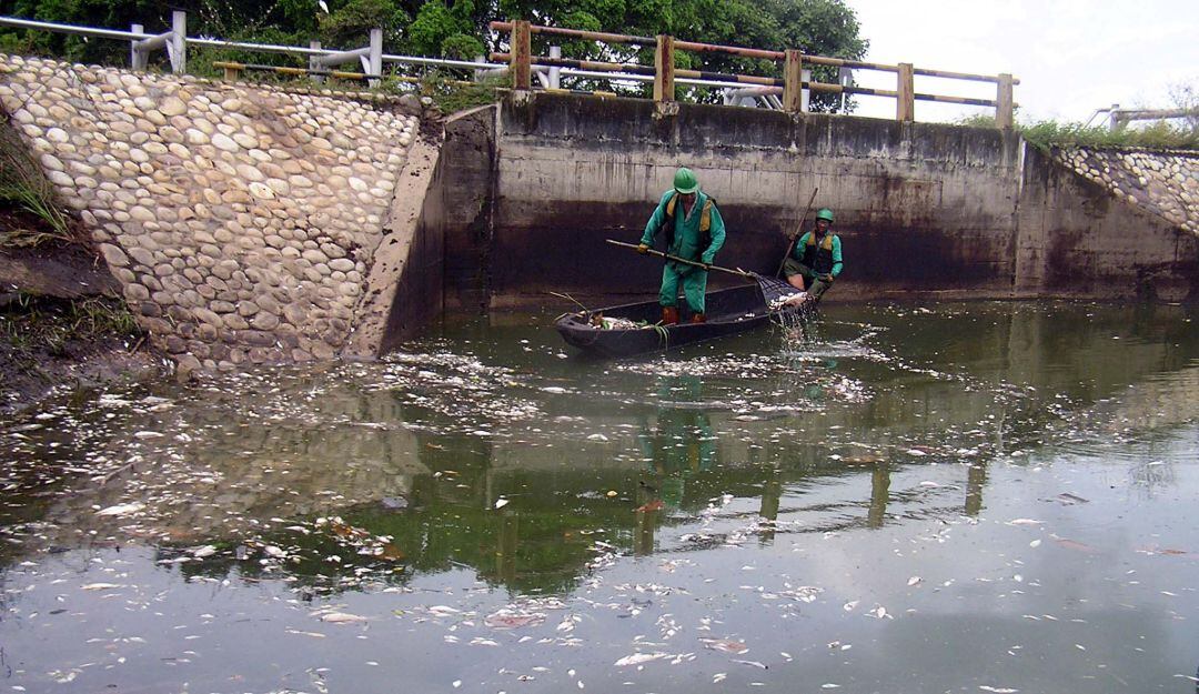 Problemas de contaminación en la Ciénaga Miramar