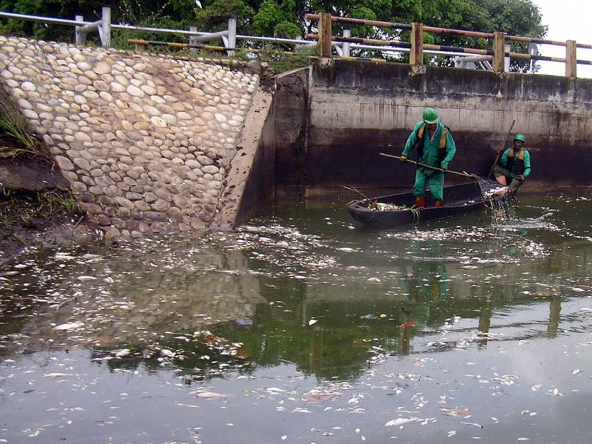 Alerta en Santander por pescado de mala calidad
