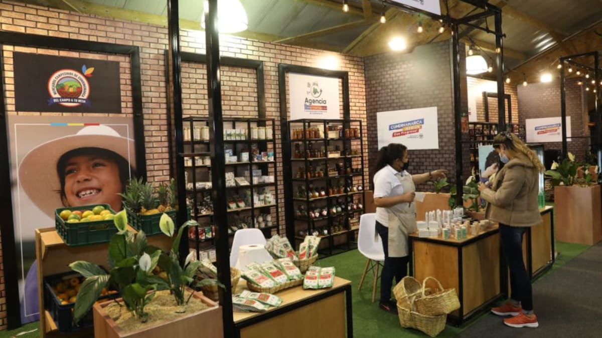 Agroexpo celebra 50 años respaldando el campo colombiano