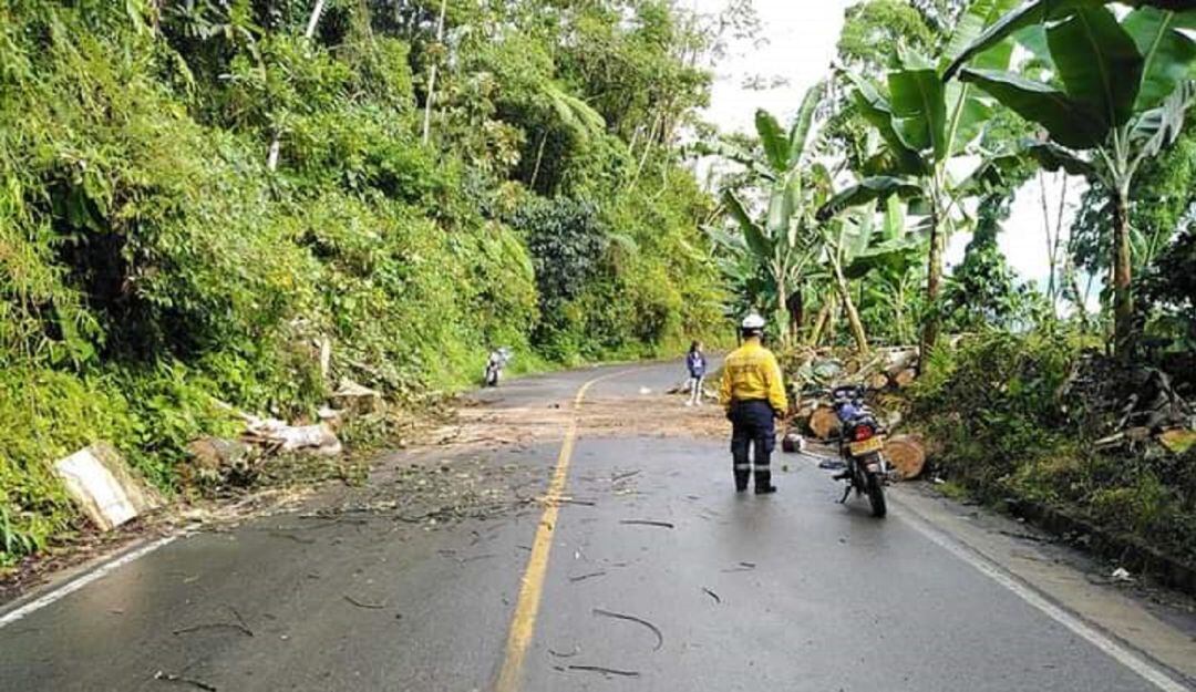 Derrumbes en vías de Caldas