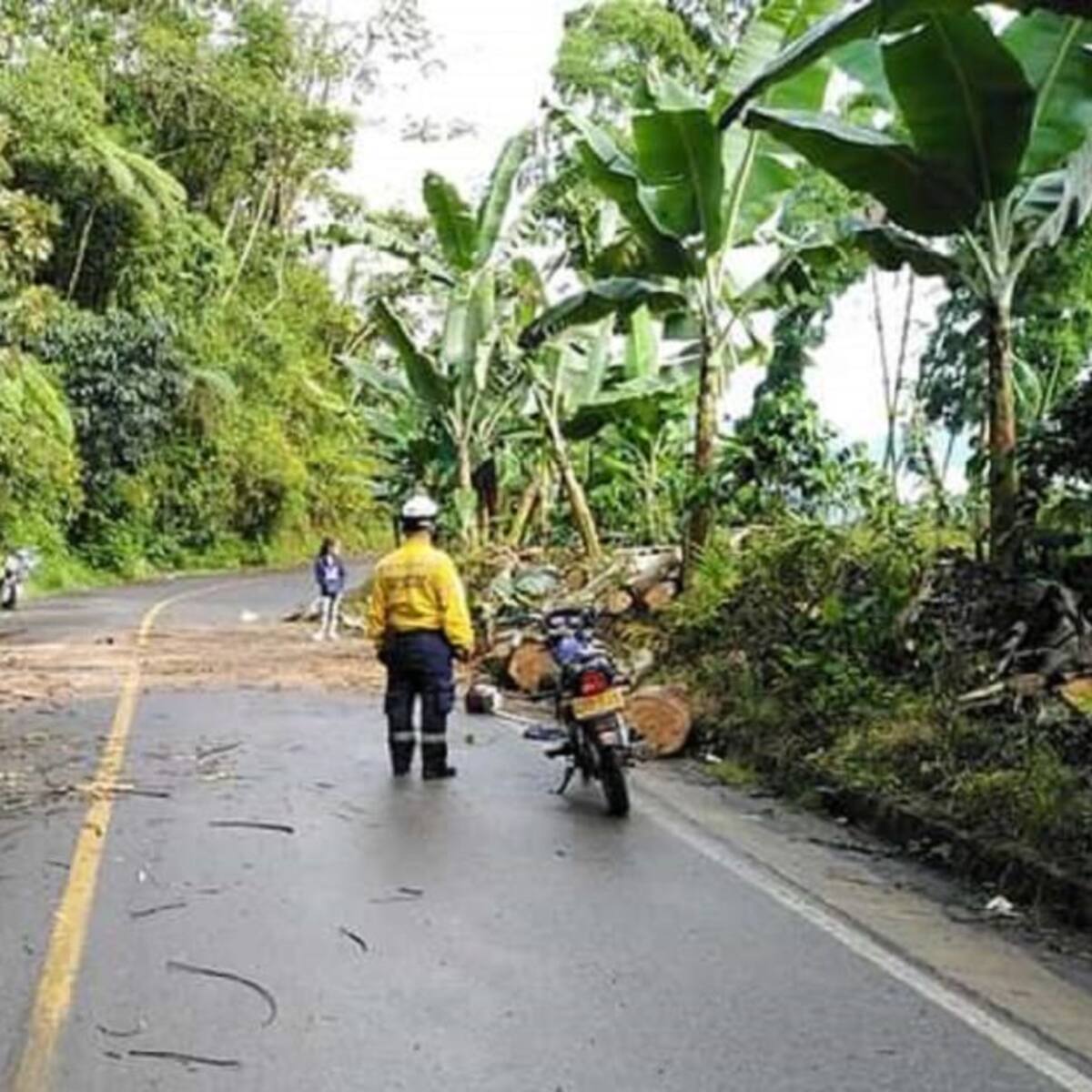Constantes lluvias provocan deslizamientos en vías de Caldas
