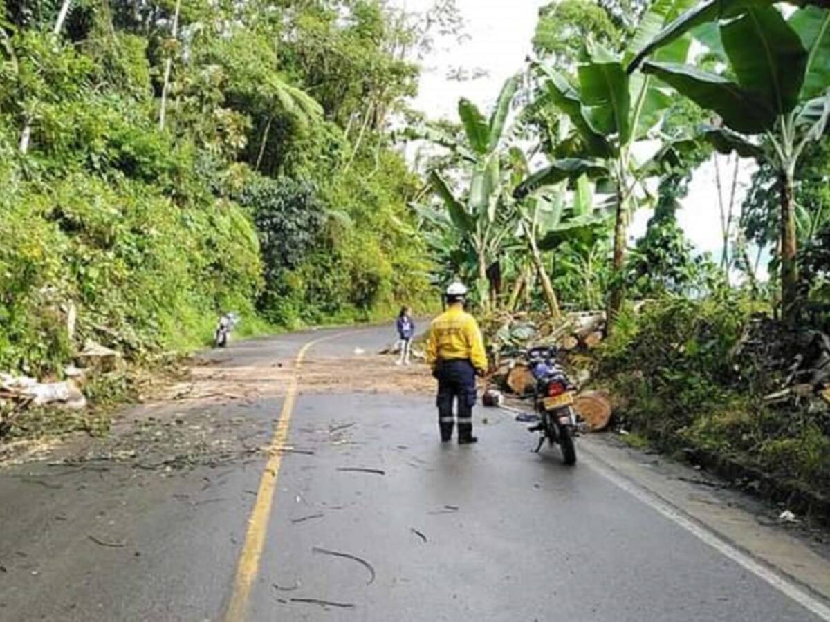 Constantes lluvias provocan deslizamientos en vías de Caldas
