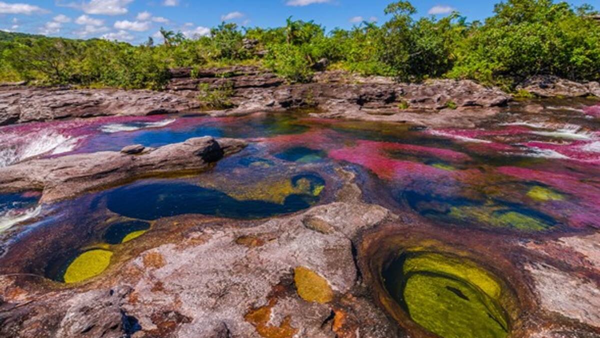 La belleza de Colombia está despertando los sentidos del mundo entero