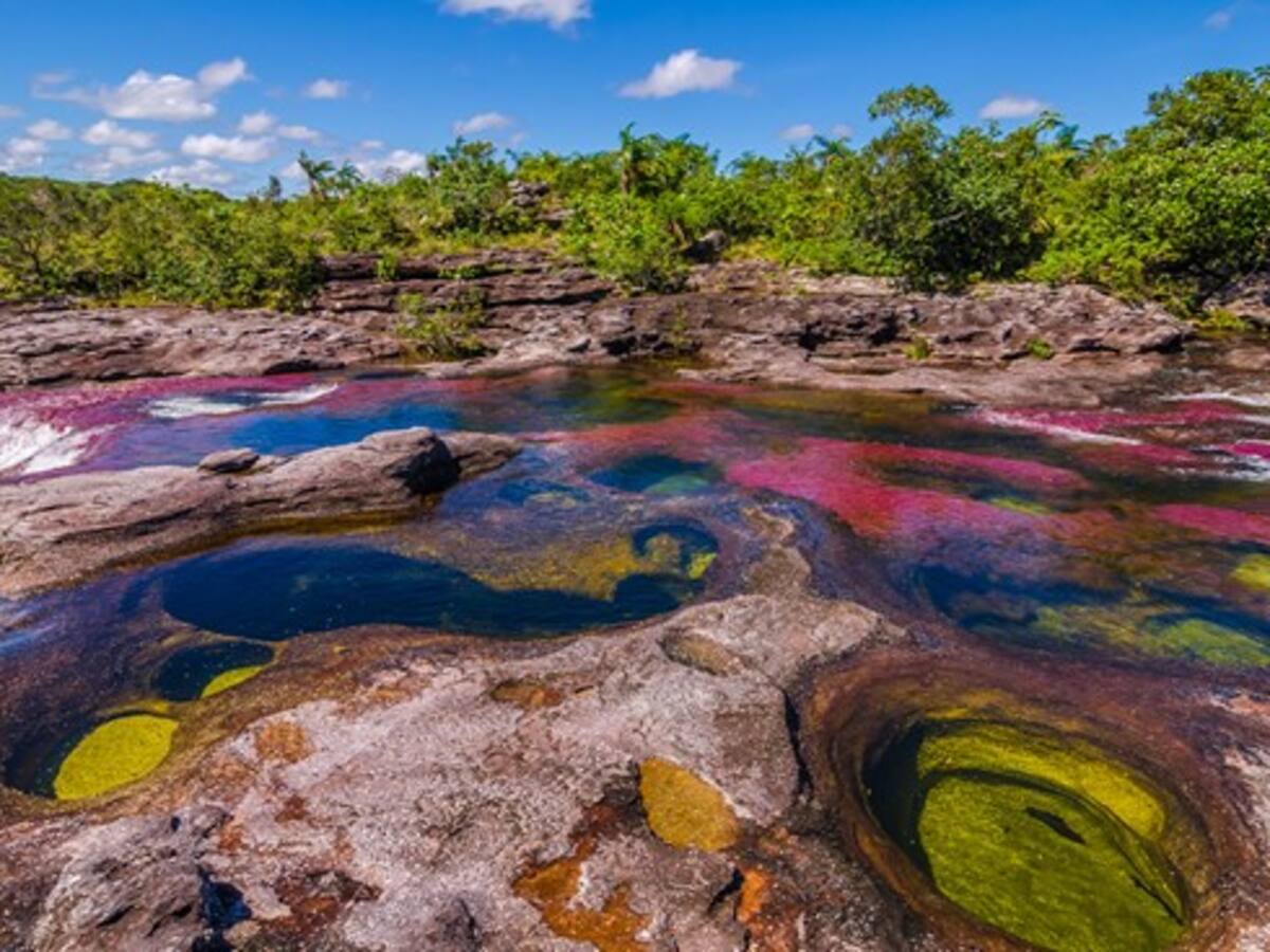 La belleza de Colombia está despertando los sentidos del mundo entero
