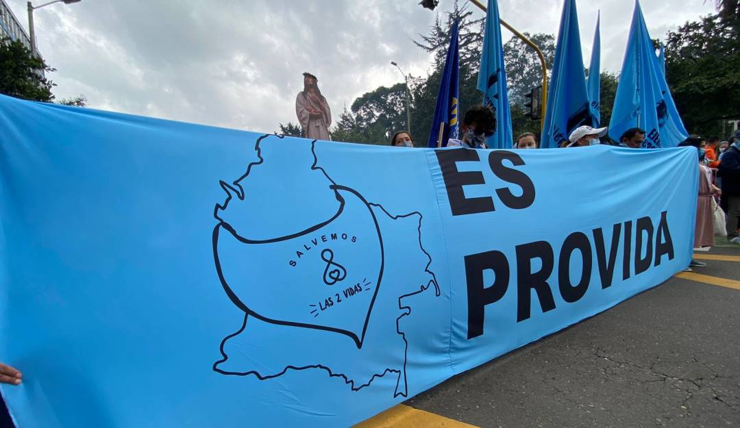 Marcha Provida / Claudia Camila Vargas 