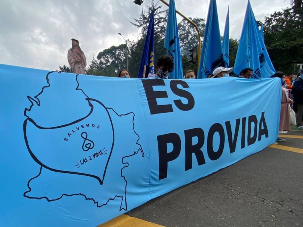 Organizaciones provida marchan en contra del aborto en Bogotá