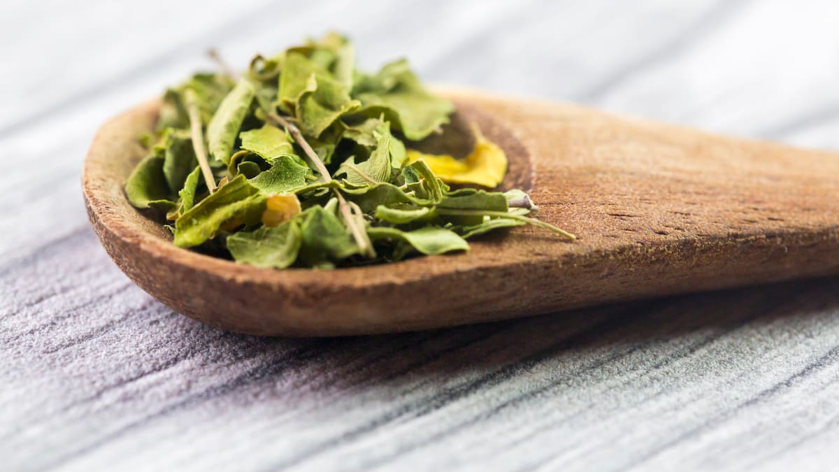 ¿Cuáles son realmente los beneficios de la moringa? Así se consume, según UNAM