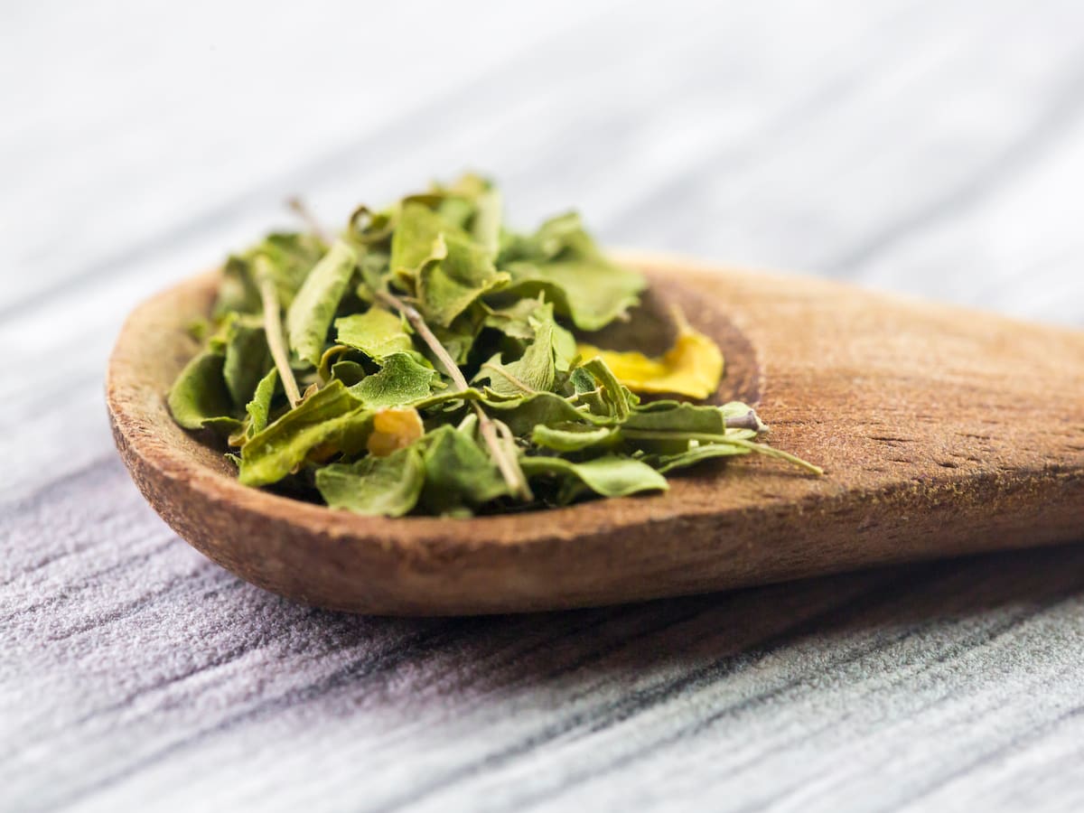 ¿Cuáles son realmente los beneficios de la moringa? Así se consume, según UNAM