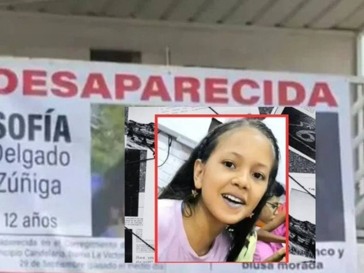 Nuevos detalles del caso Sofía Delgado: sospechoso tenía antecedentes de violación