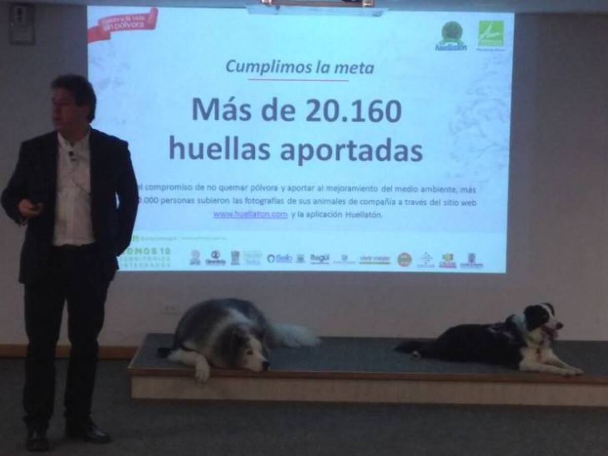 Gracias a Huellatón, Área Metropolitana sembrará 20.160 nuevos árboles