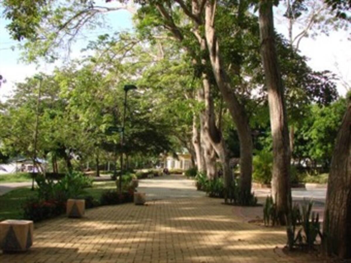 ¿Por qué a Montería se le conoció como la ciudad de las golondrinas?