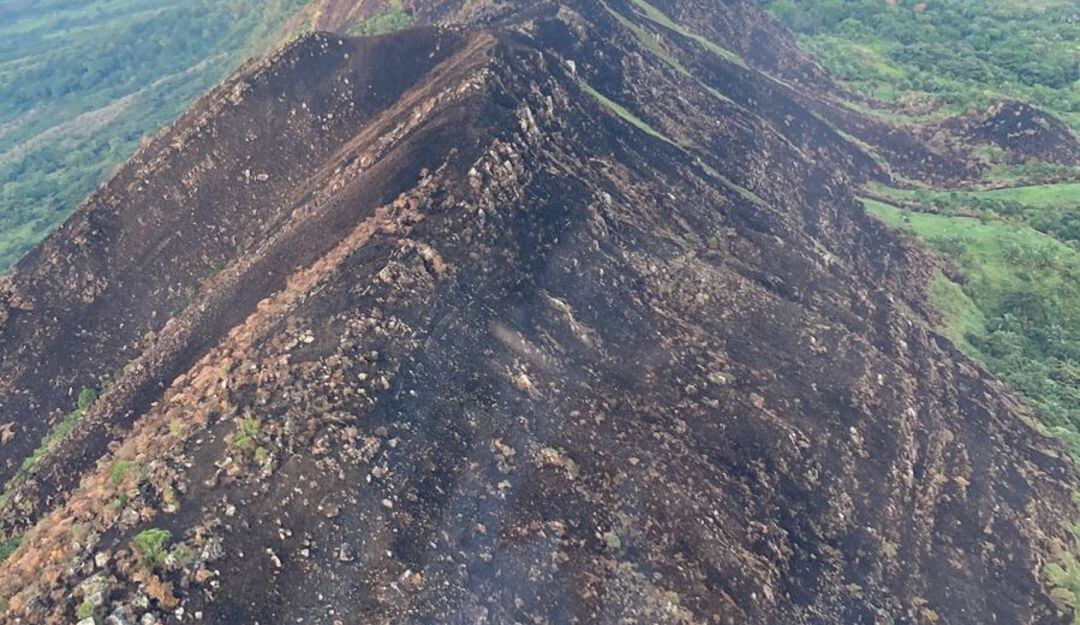 Más de 200 hectáreas de vegetación fueron arrasadas por llamas