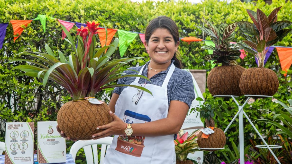 Bulevar campesino, para que los productores mejoren sus ventas en la vía