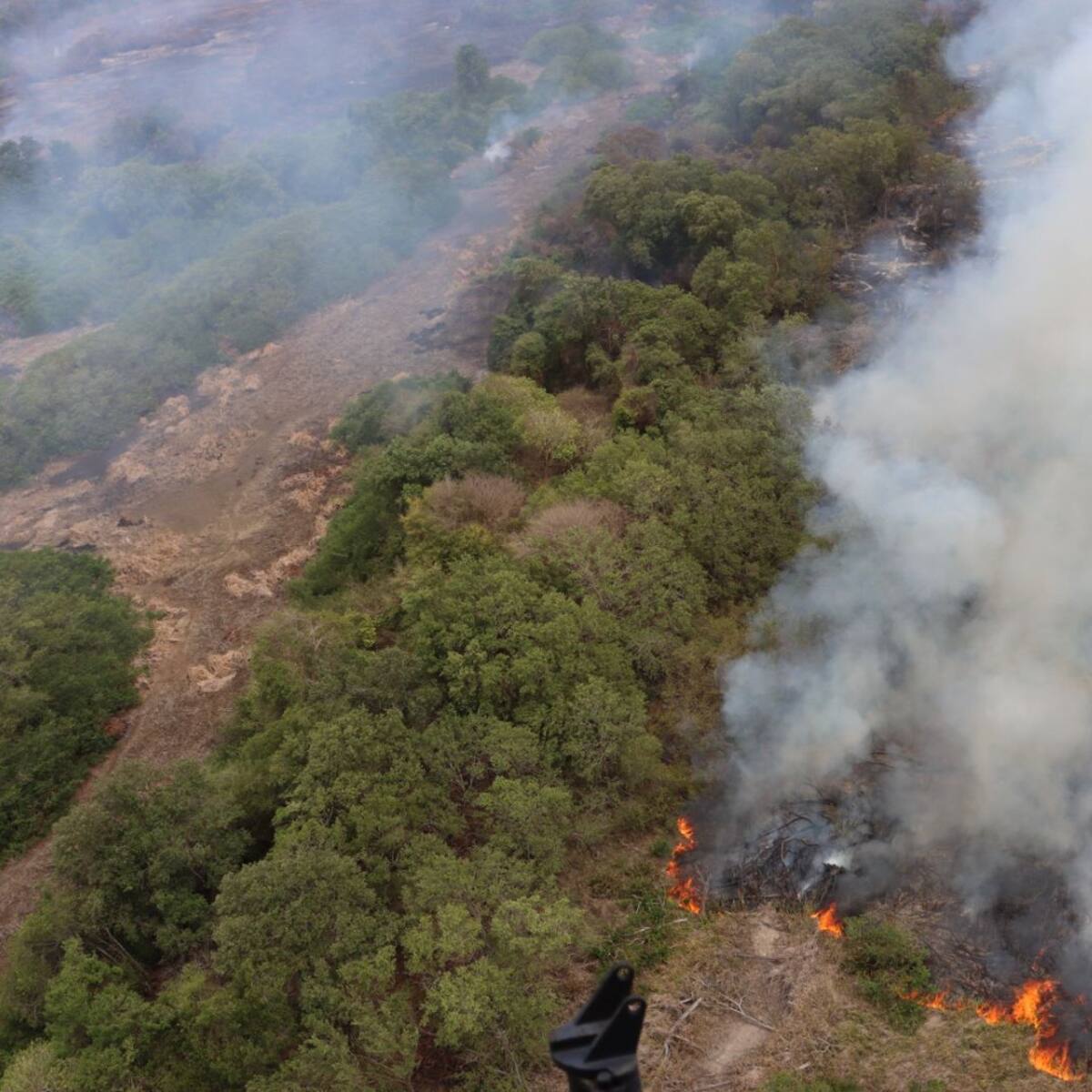Minambiente anuncia acciones penales por incendio en Salamanca