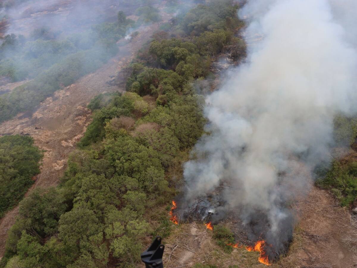 Minambiente anuncia acciones penales por incendio en Salamanca