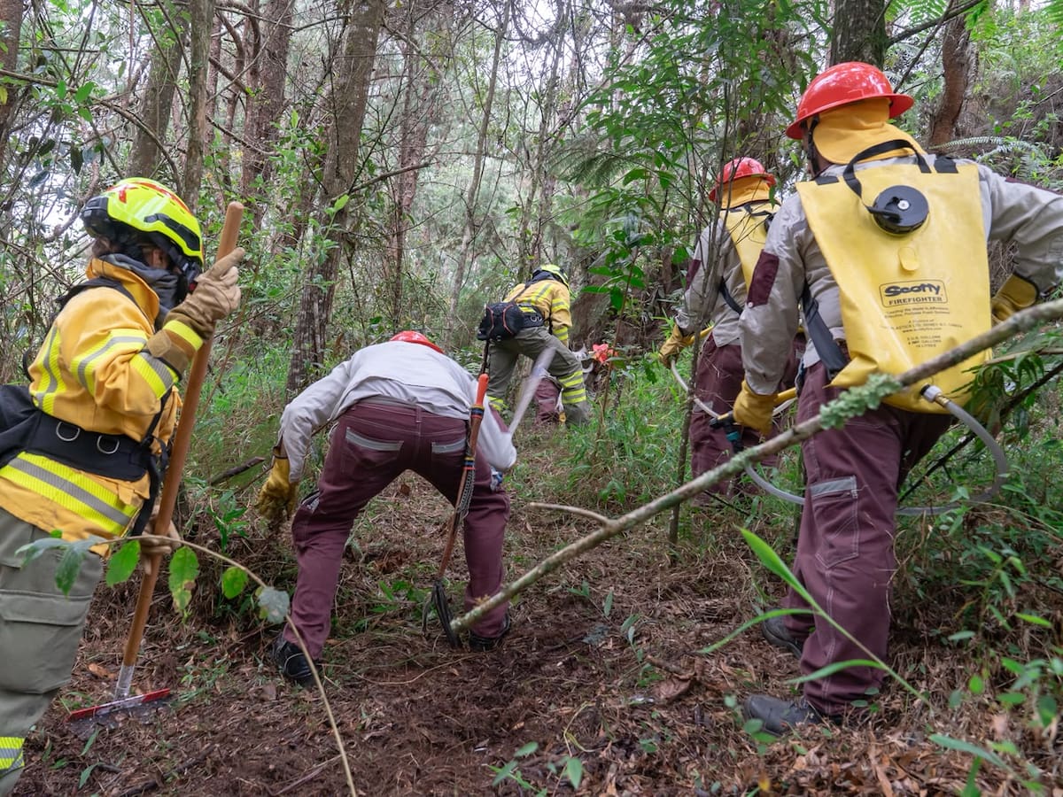 Simulacro en Parque Arví puso a prueba respuesta ante incendios forestales
