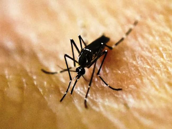 DADIS extrema medidas para atender casos de dengue en Cartagena