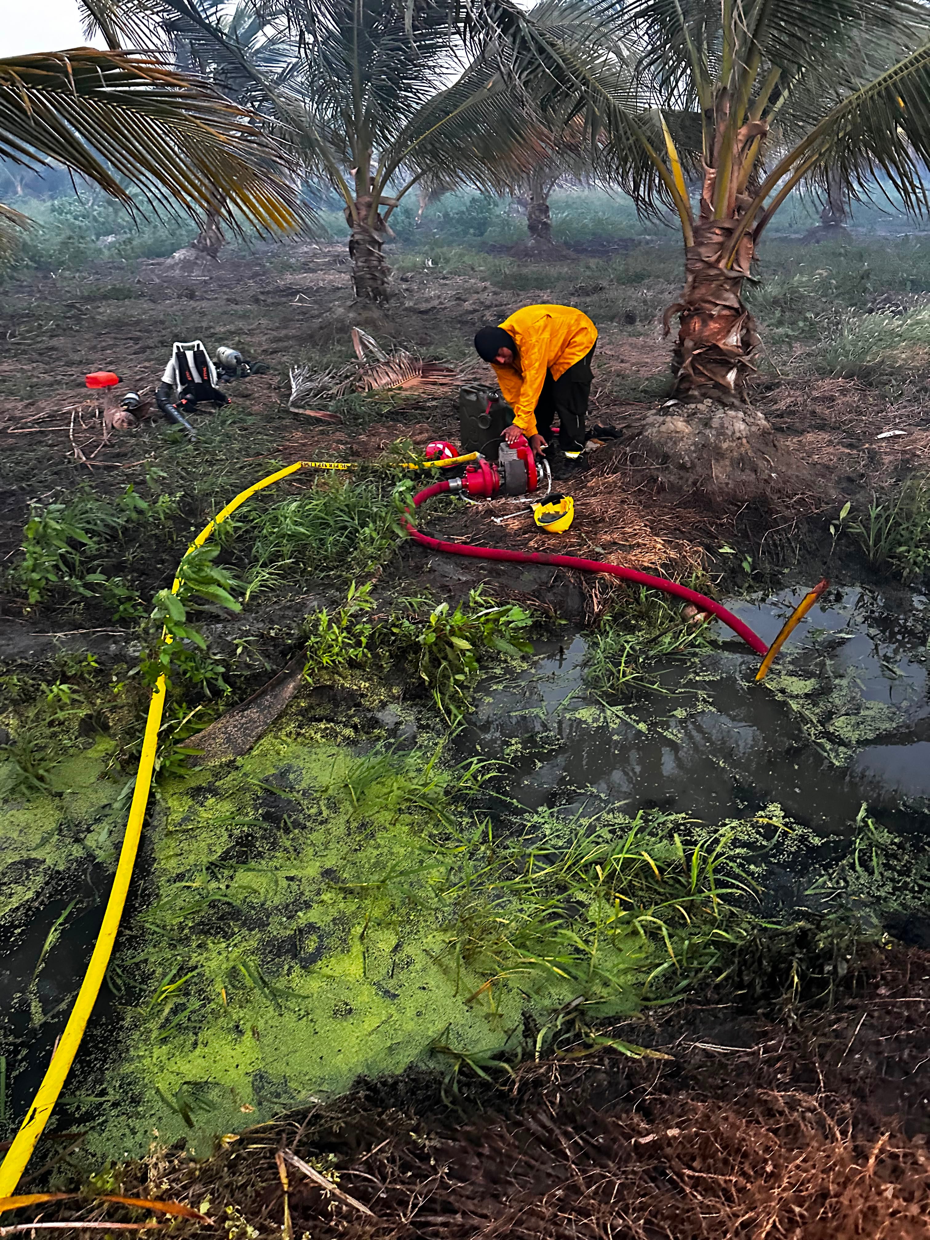 Incendio en el Parque Isla Salamanca está controlado en un 90 %/ Gobernación del Magdalena.