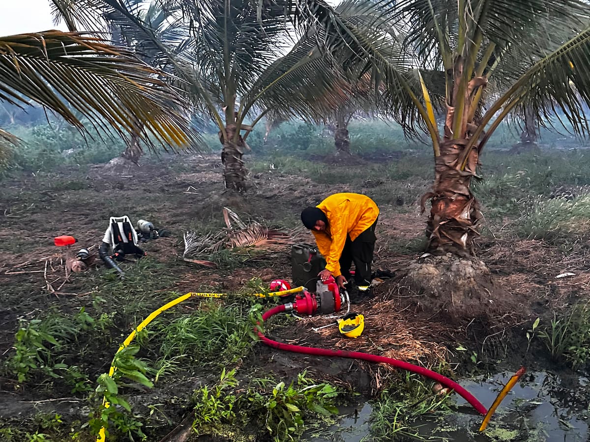 Incendio en el Parque Isla Salamanca está controlado en un 90%