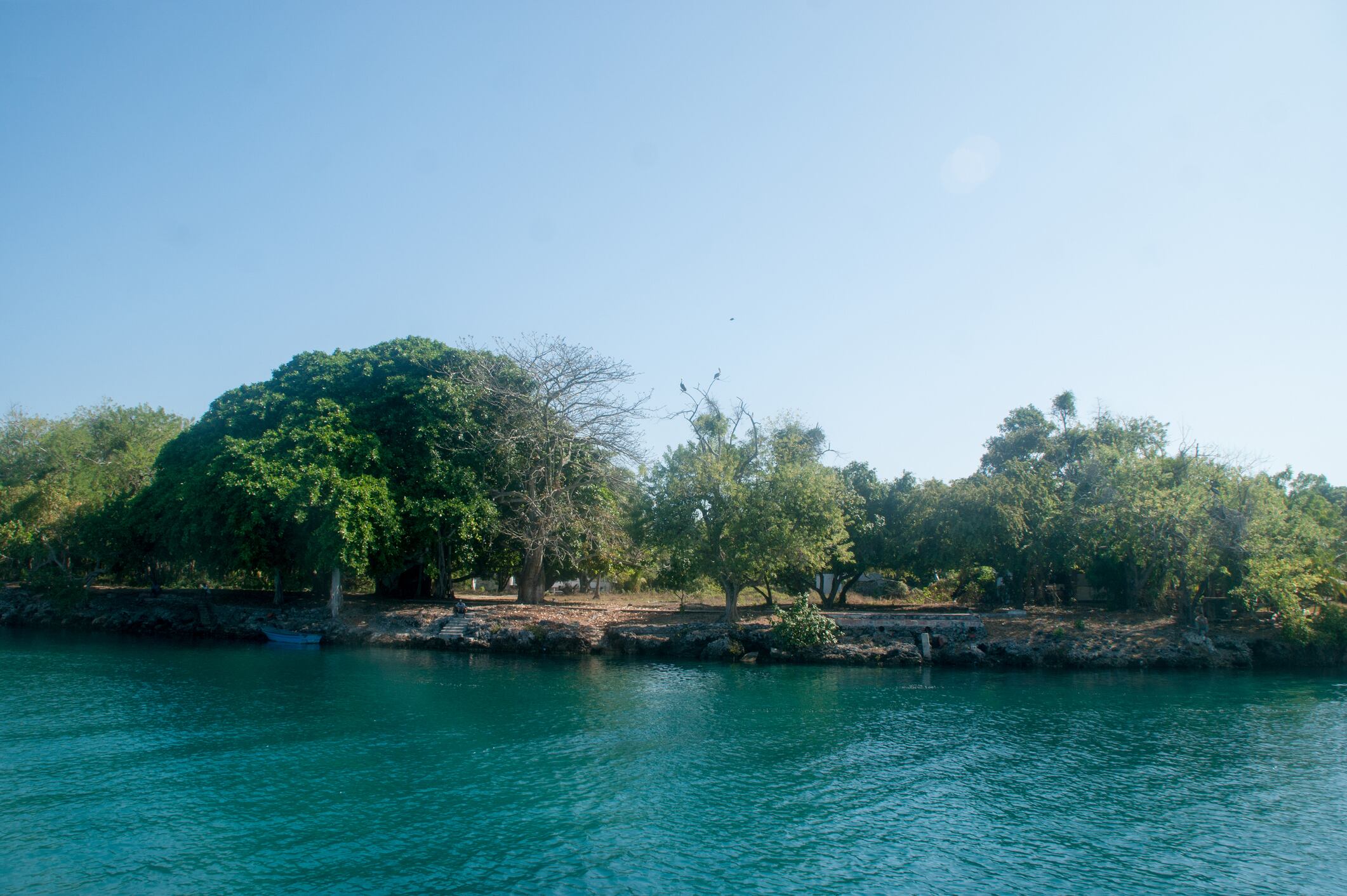 Denuncian que Islas del Rosario se entregan “a dedo”