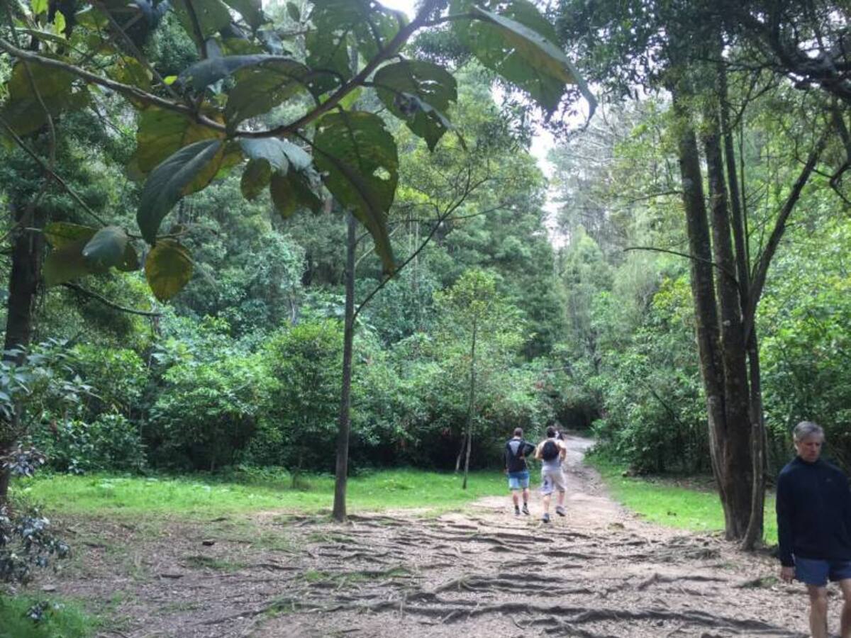 Persisten denuncias sobre inseguridad en la quebrada La Vieja