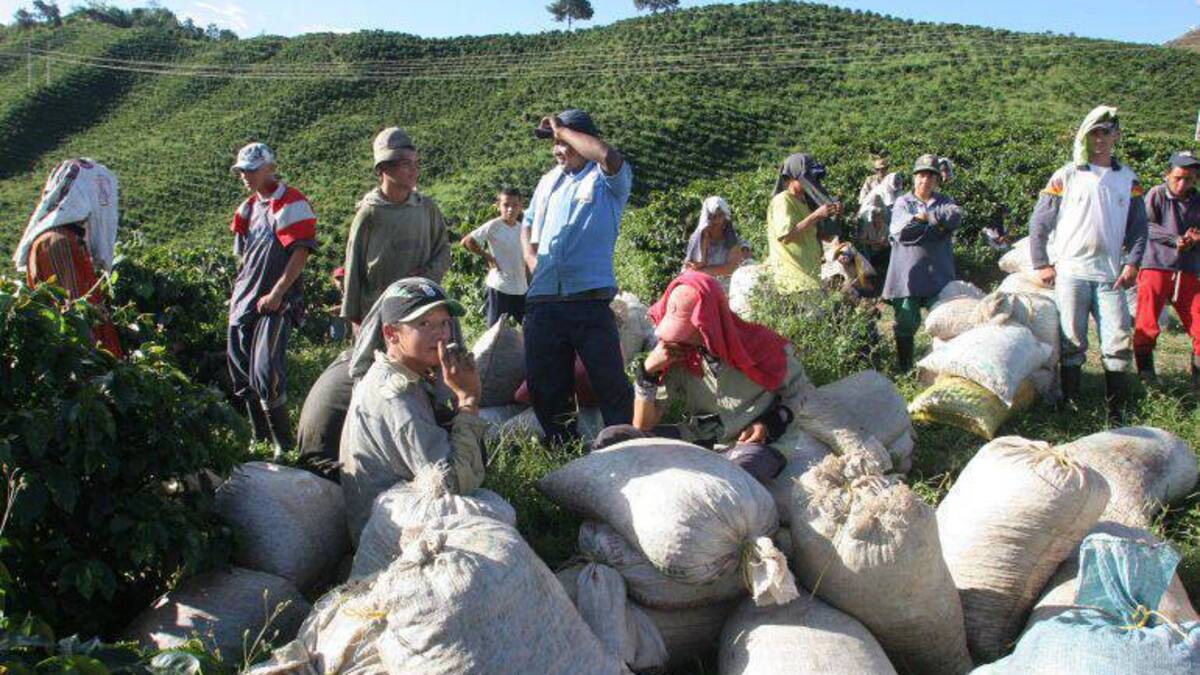 Santos firmó en Boyacá un decreto que formalizará predios para campesinos