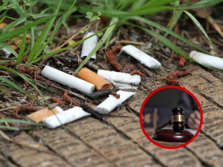 Imágenes de referencia // Colillas de cigarrillo // elemento de ley // Getty Images