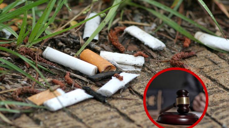 Proyecto de ley para poner fin a la contaminación que generan las colillas de cigarrillo