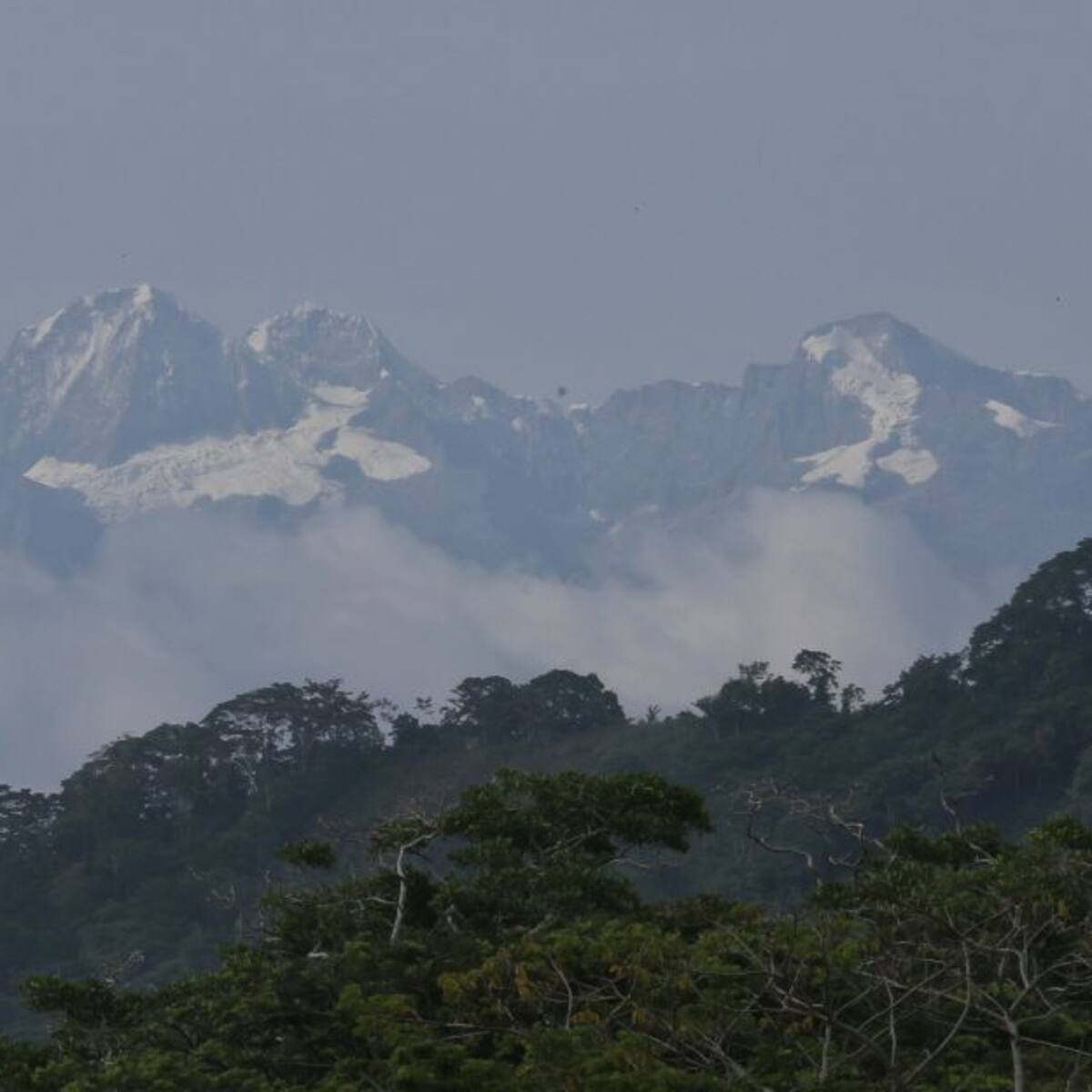 Los crímenes del silencio en la Sierra Nevada de Santa Marta