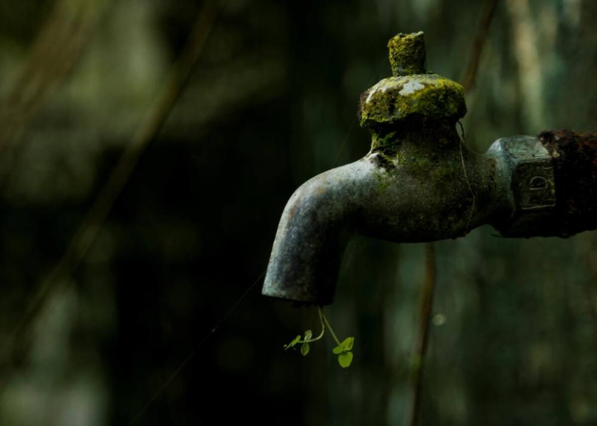 La naturaleza reclama su territorio y se instala en las ruinas de lo que alguna vez fue un temido lugar de reclusión en el Pacífico colombiano.