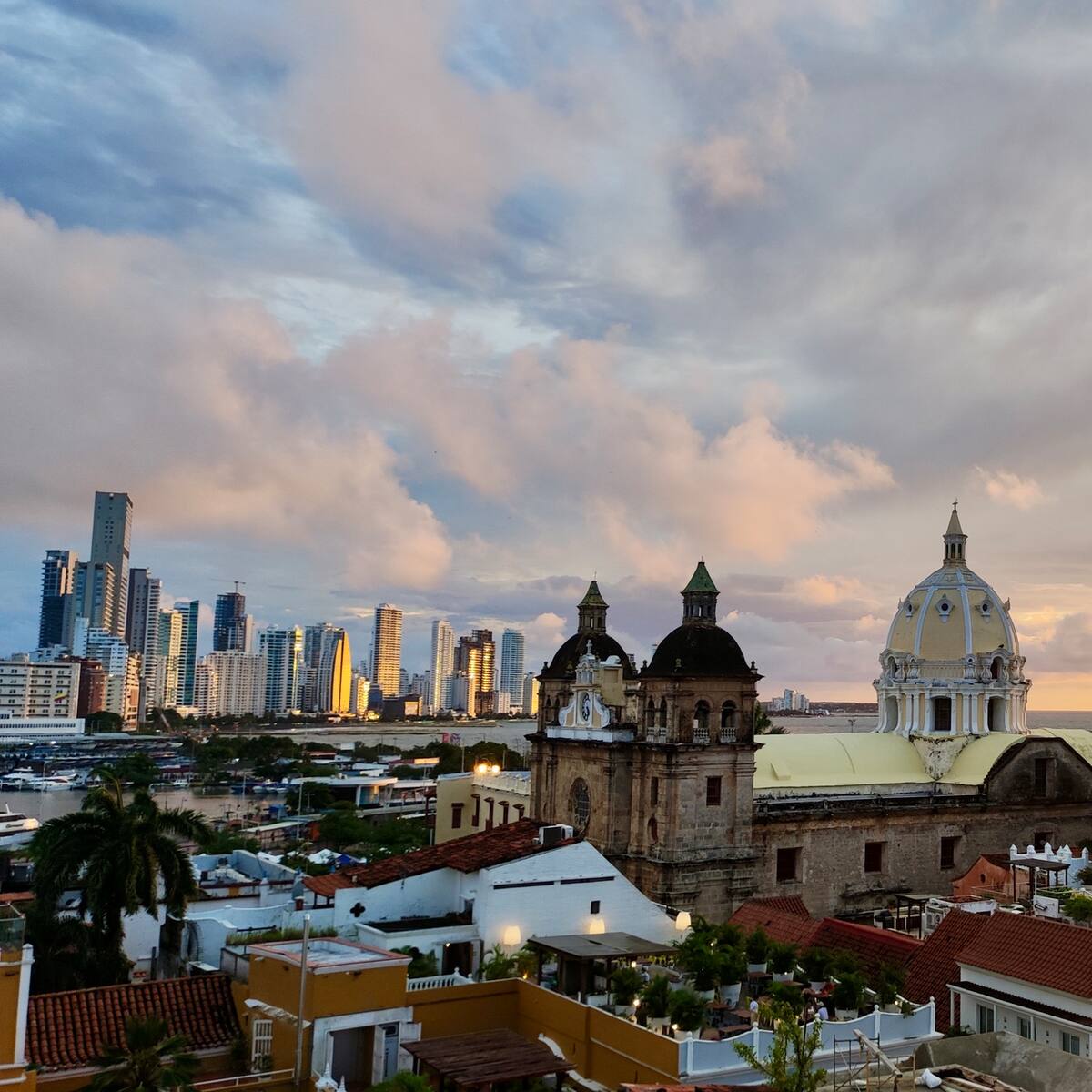 Cartagena, sede de alianzas que mejoren condiciones de transporte animal a nivel mundial