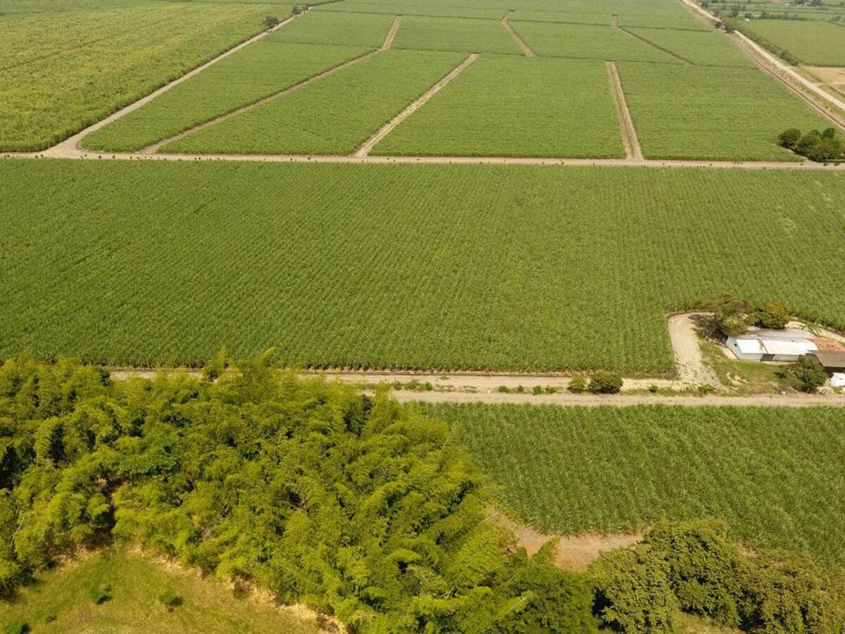 El Plan de Desarrollo del Valle, listo para ser aprobado por la gobernadora