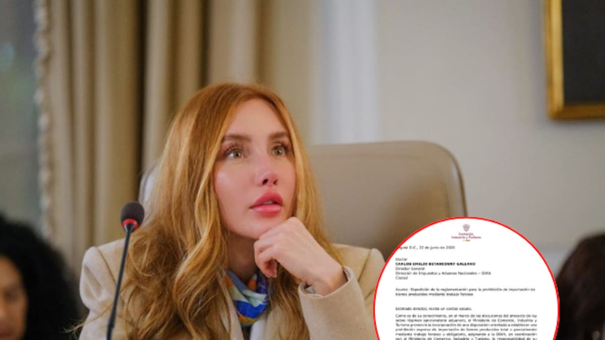 Mincomercio había advertido hace un mes a la DIAN que debía actuar para evitar aranceles de EE.UU.