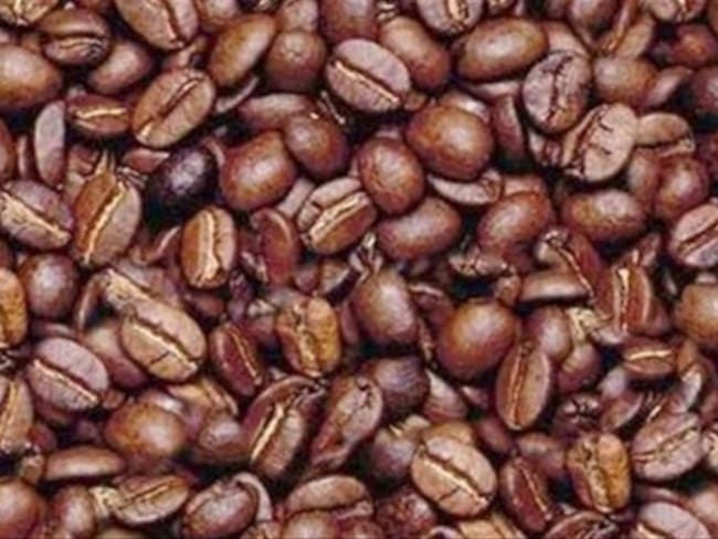 Producción de café en primer semestre del año llegó a 6 millones de sacos