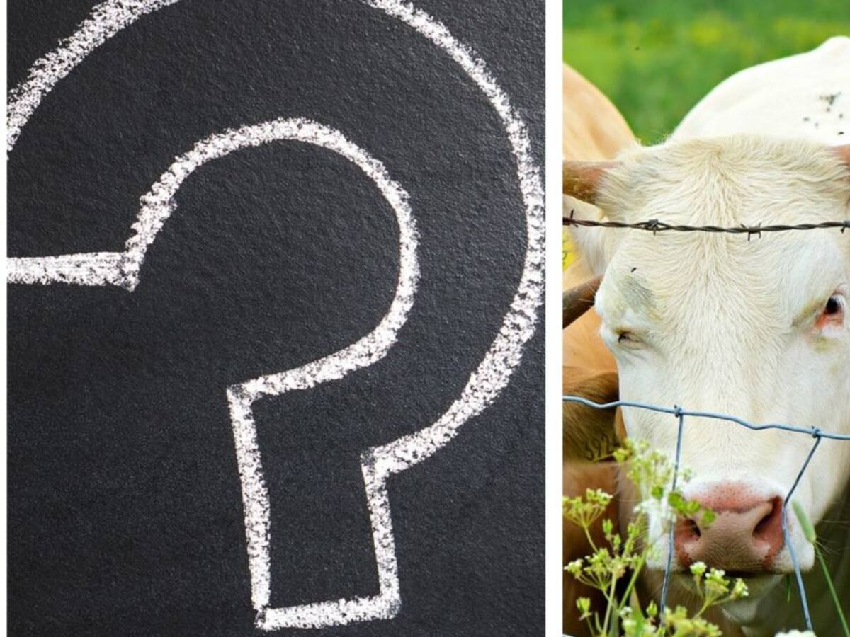 ¿La carne en Colombia no dopa?