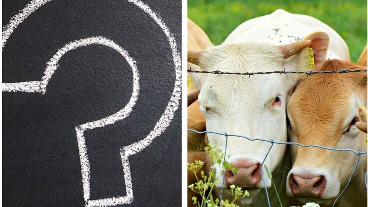 ¿La carne en Colombia no dopa?