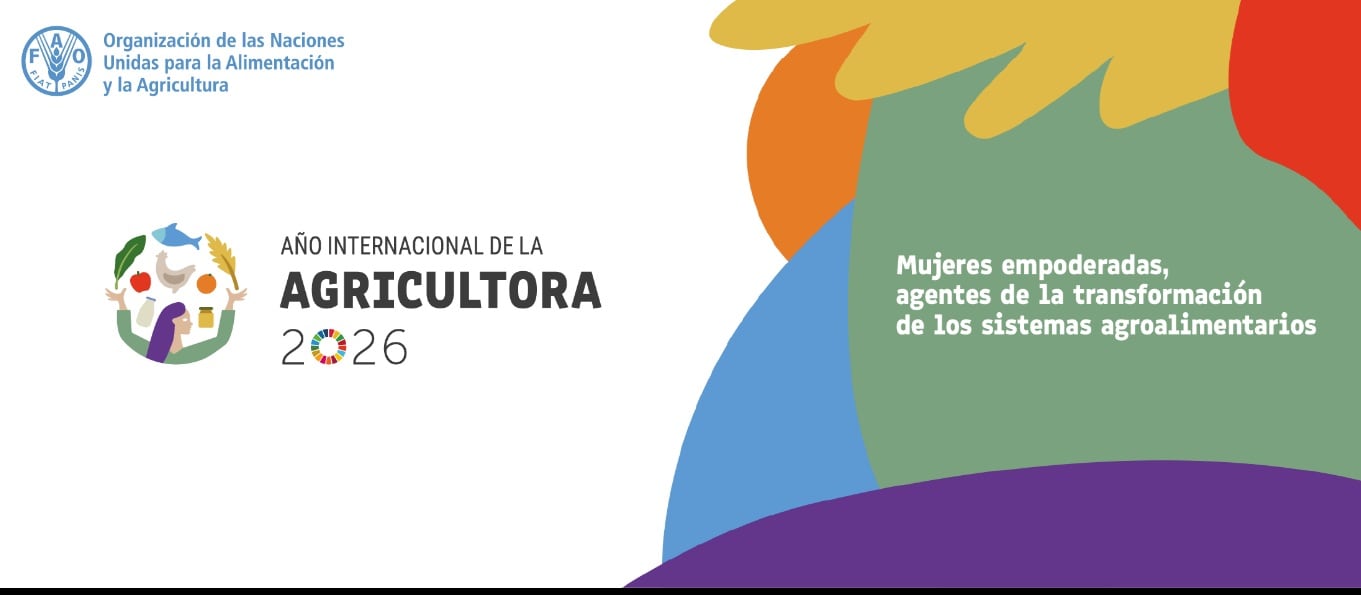 Reformar la tenencia de la tierra es clave para frenar la degradación del suelo, ¿por qué?