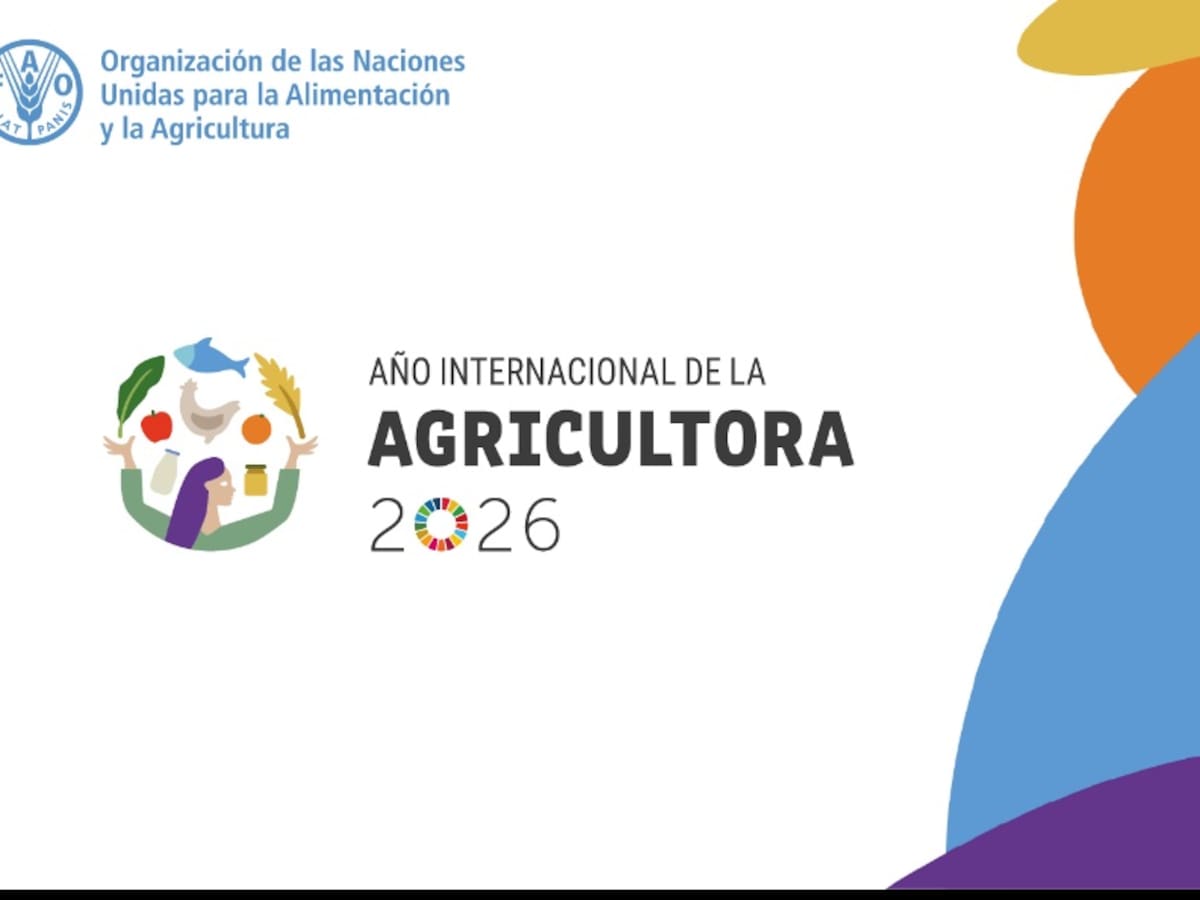 Reformar la tenencia de la tierra es clave para frenar la degradación del suelo, ¿por qué?