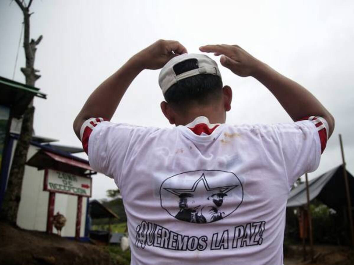 80% de excombatientes en Cauca abandonaron espacios territoriales