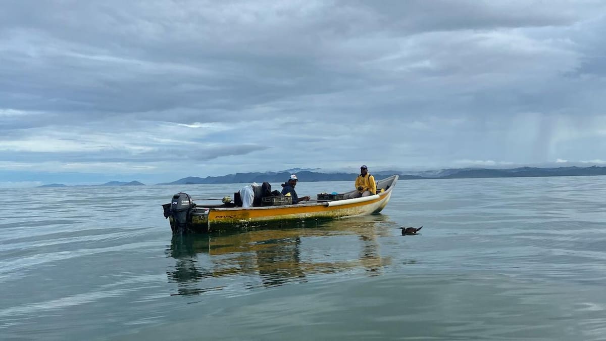 Compras a precios justos y un modelo de pesca sostenible, Nuquí impulsa mercados para pescadores