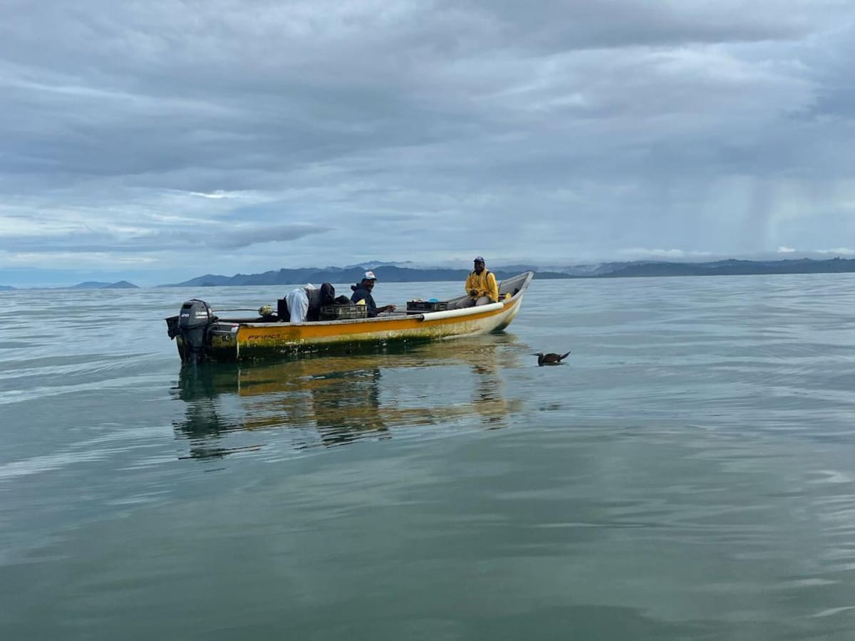 Compras a precios justos y un modelo de pesca sostenible, Nuquí impulsa mercados para pescadores