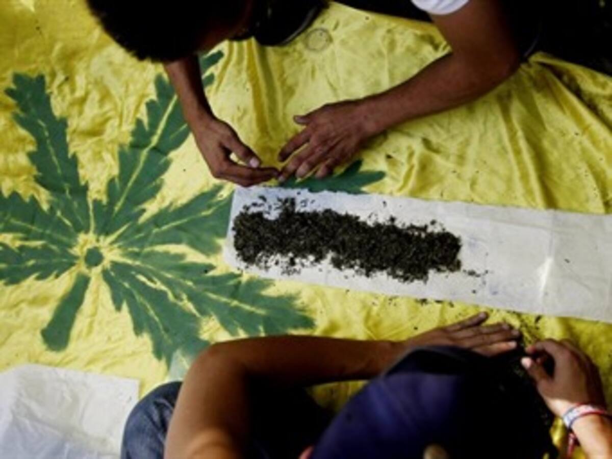 Más de 100 empresas uruguayas quieren vender marihuana